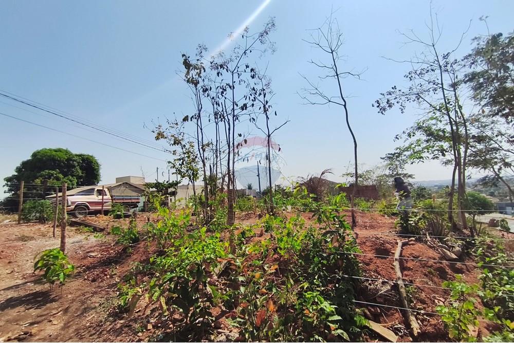 Terreno - Venda - Rondonópolis , Mato Grosso - IMG_20250912_092615.jpg - 722261012-17