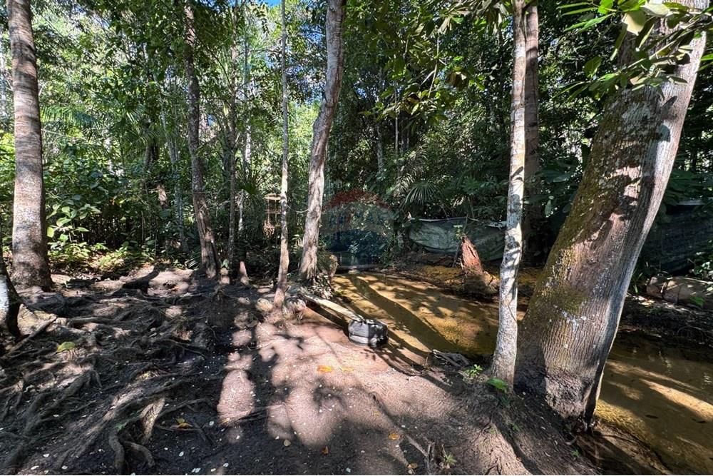 Chácara / Sítio / Fazenda - Venda - Babaçulândia , Tocantins - PHOTO-2025-09-02-09-36-03 (1).jpg - 720991008-76