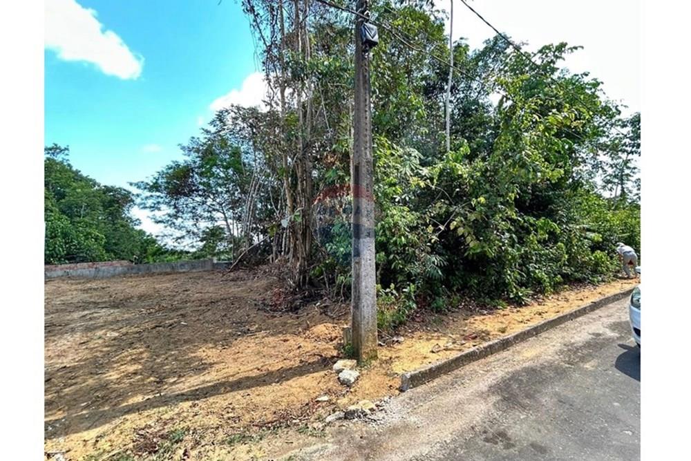 Terreno - Venda - Manaus , Amazonas - Imagem do WhatsApp de 2025-09-15 à(s) 14.51.17_e3d780d0.jpg - 720401097-8