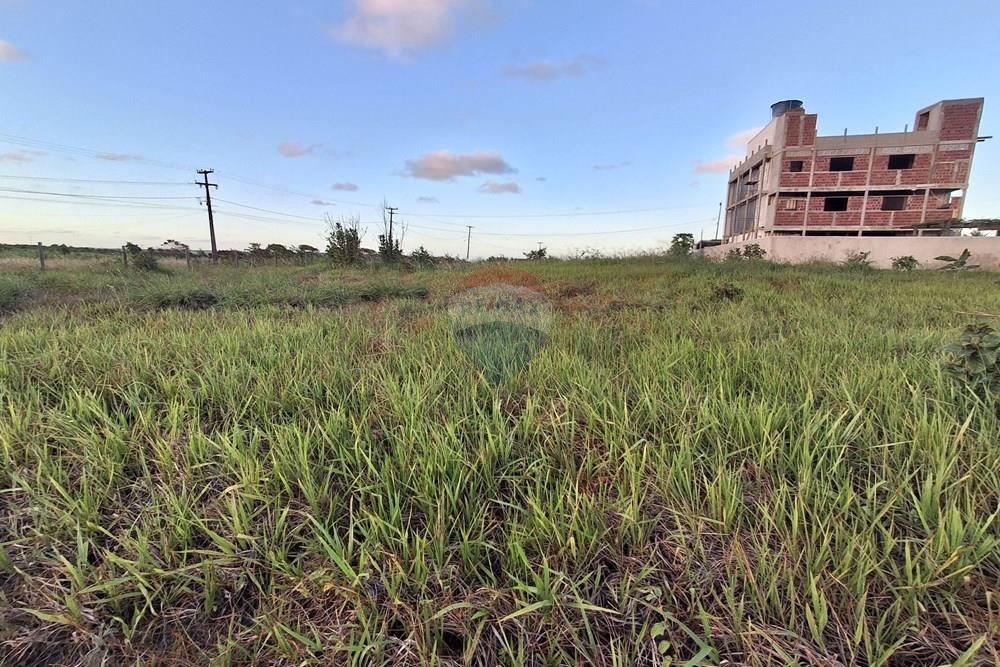 Terreno - Venda - Pitimbu , Paraíba - 20260310_171532.jpg.jpeg - 720871044-118