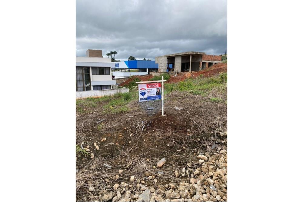 Terreno - Venda - Guarabira , Paraíba - IMG 7.jpeg - 720551009-105