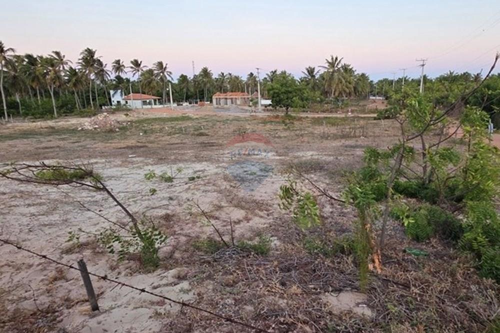 Terreno - Venda - Trairi , Ceará - 1000190159.jpg - 722341001-102