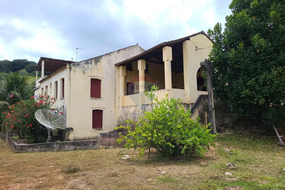 Chácara / Sítio / Fazenda - Venda - Areia , Paraíba - DJI_20230206_112602_613.jpg - 722011055-52