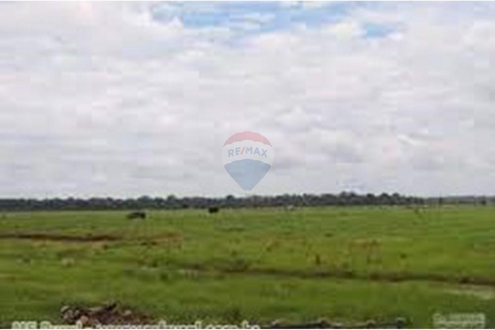 Terreno - Venda - Humaitá , Amazonas - 1000737328.jpg - 721551029-31