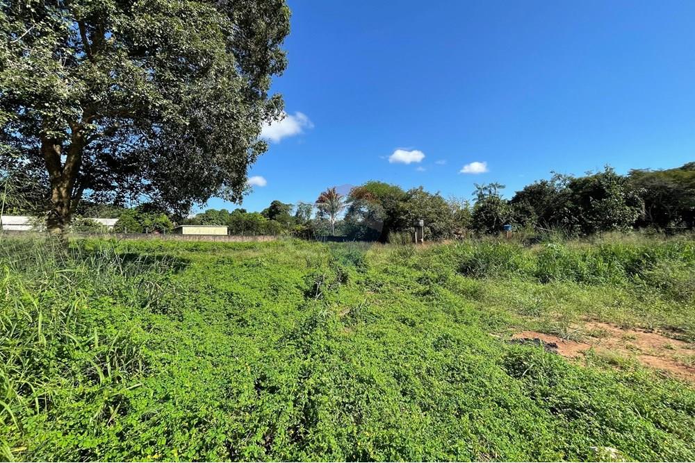 Terreno - Venda - Araguaína , Tocantins - WhatsApp Image 2025-05-01 at 15.30.24 (2).jpeg - 720991032-31