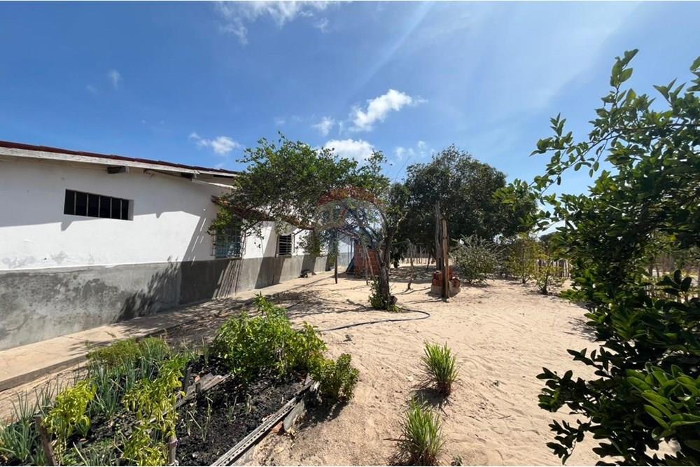 Casa - Venda - Parnaíba , Piauí - WhatsApp Image 2025-12-11 at 10.44.28.jpeg - 722361007-11