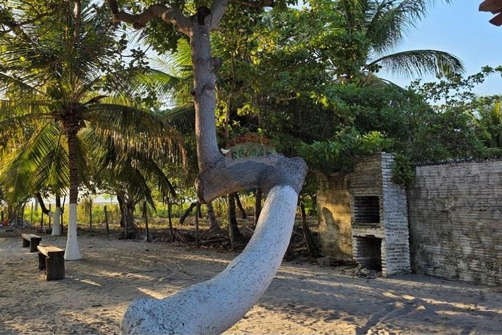 Terreno - Venda - Cruz , Ceará - 1000385872.jpg - 722341001-122