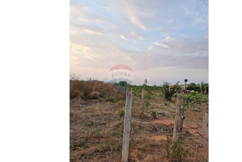 Chácara / Sítio / Fazenda - Venda - Rondonópolis , Mato Grosso - IMG-20251027-WA0027.jpg - 721981068-21