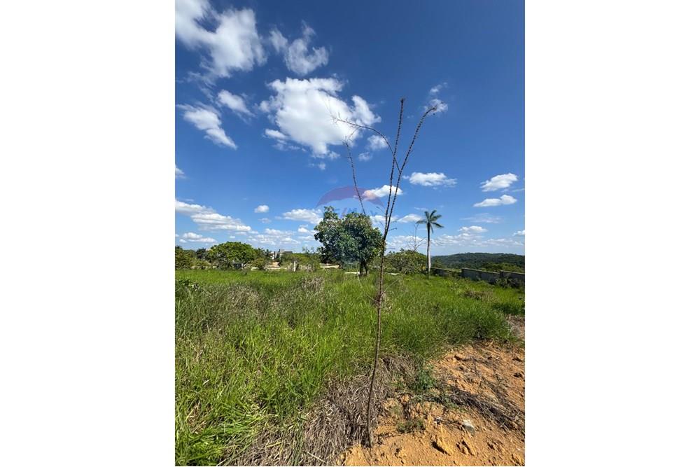 Terreno - Venda - Bananeiras , Paraíba - WhatsApp Image 2025-01-22 at 09.47.01.jpeg - 720551002-74