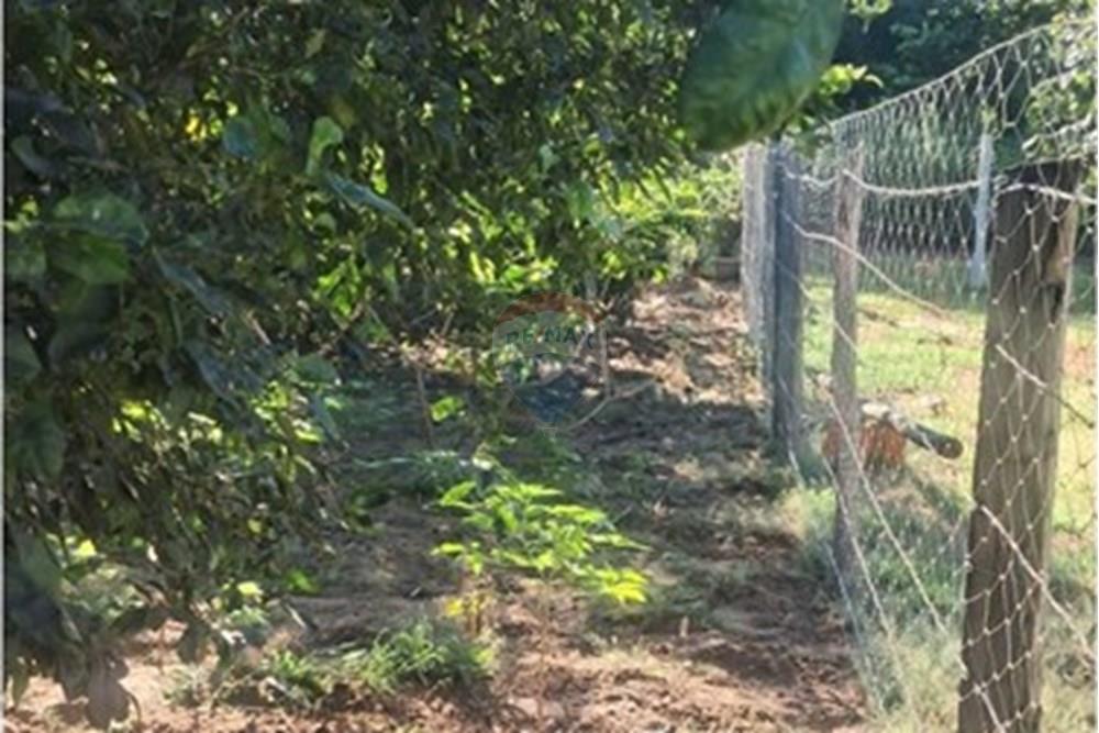 Chácara / Sítio / Fazenda - Venda - Rondonópolis , Mato Grosso - Imagem do WhatsApp de 2025-08-25 à(s) 16.49.23_55e61679.jpg - 722261001-70