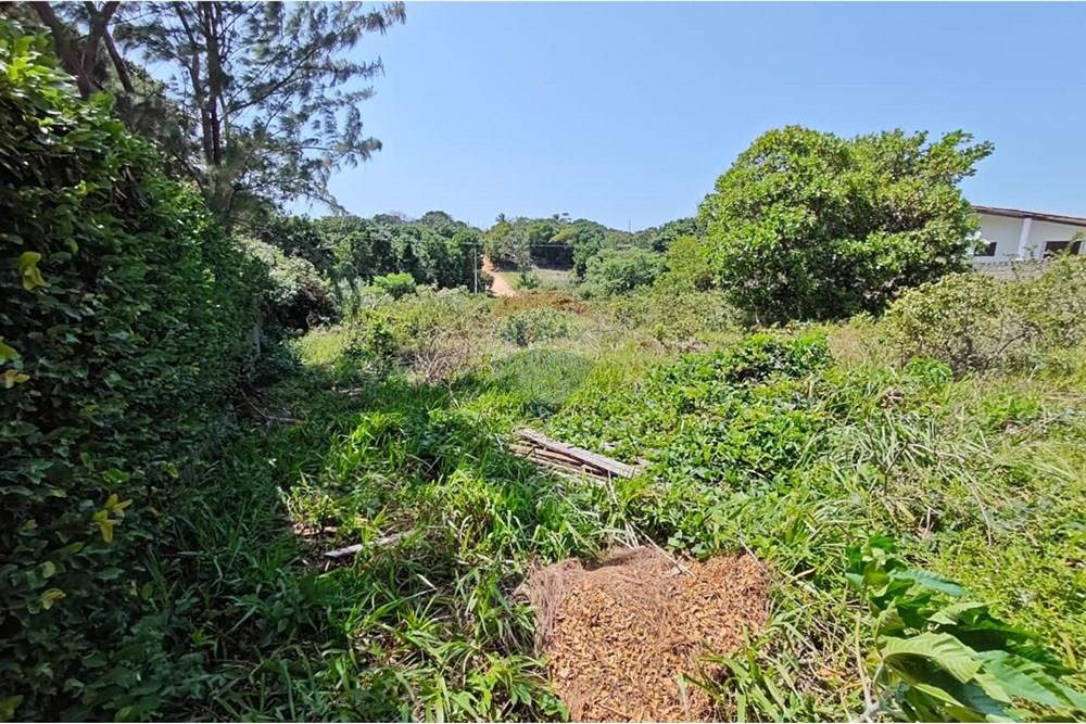 Residential - ਧਰਤੀ - Conde , Paraíba - BR - WhatsApp Image 2025-09-19 at 09.55.04 (4).jpeg - 720871009-201