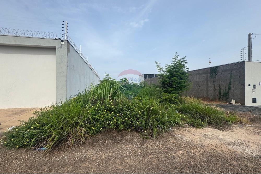 Terreno - Venda - Araguaína , Tocantins - WhatsApp Image 2025-12-17 at 14.05.56 (1).jpeg - 722171042-3