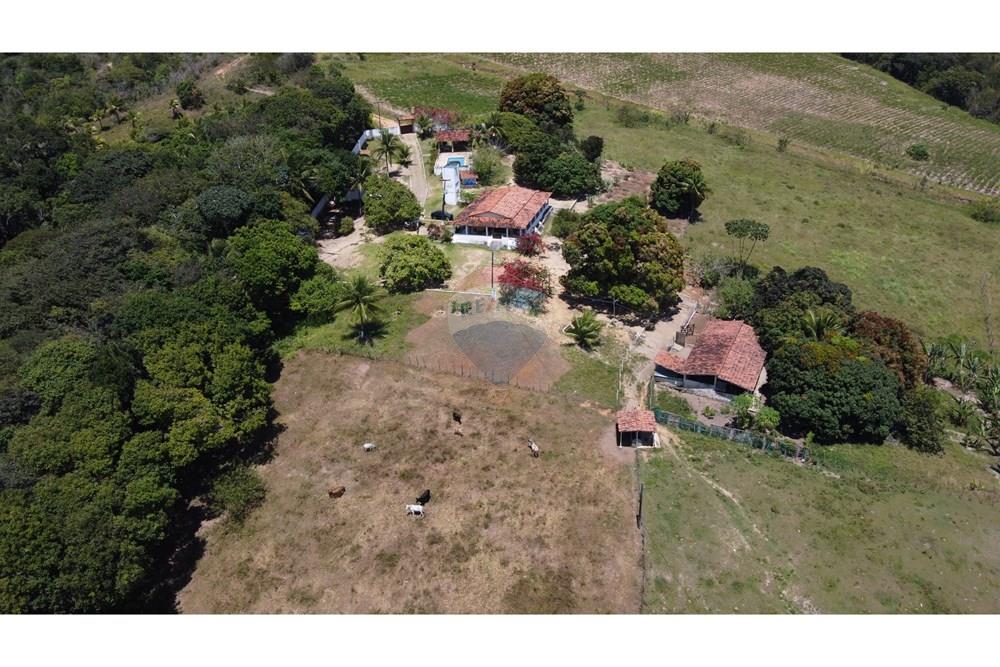 Chácara / Sítio / Fazenda - Venda - Conde , Paraíba - DJI_0227.JPG - 720871055-28
