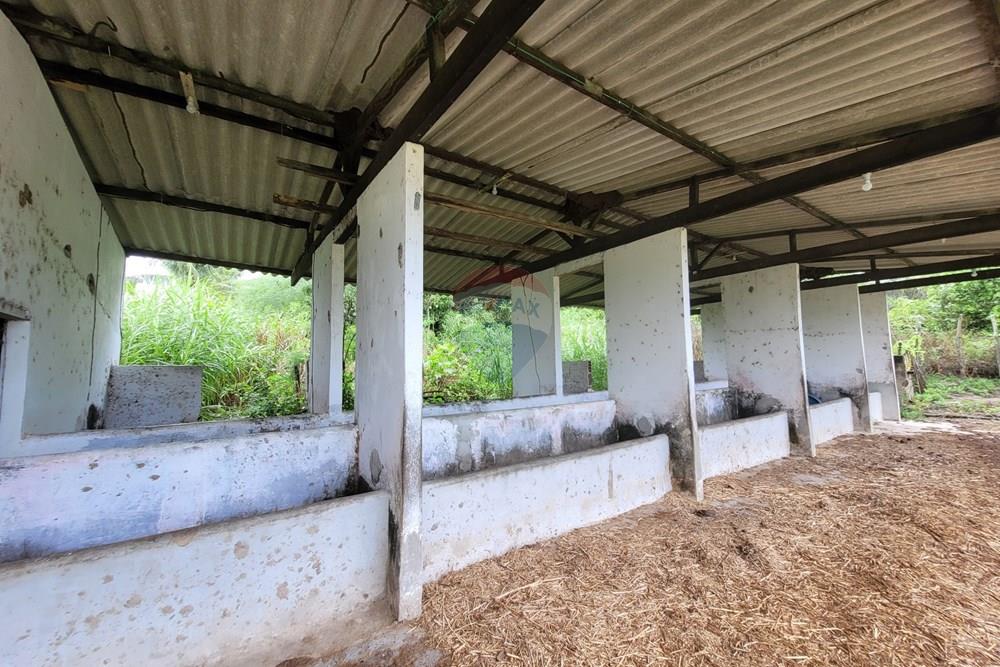 Chácara / Sítio / Fazenda - Venda - Conde , Paraíba - 20260207_110430.jpg - 722011055-53