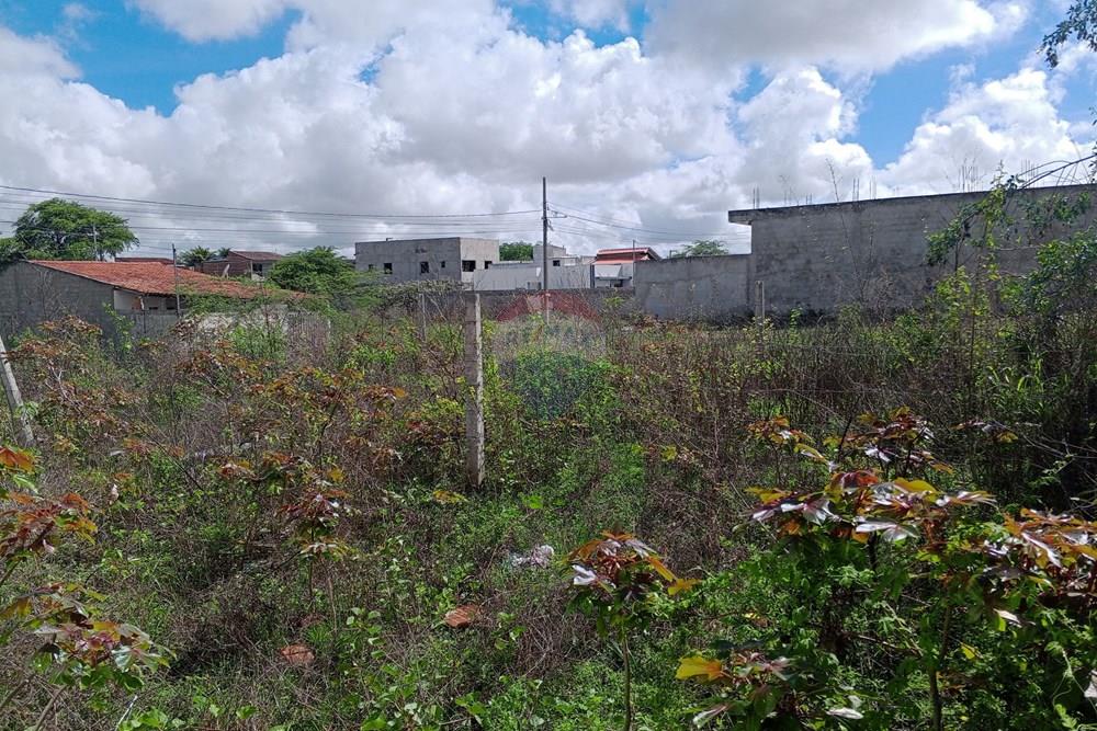 Terreno - Venda - Queimadas , Paraíba - IMG_20260216_085040_528.jpg.jpeg - 720291095-18