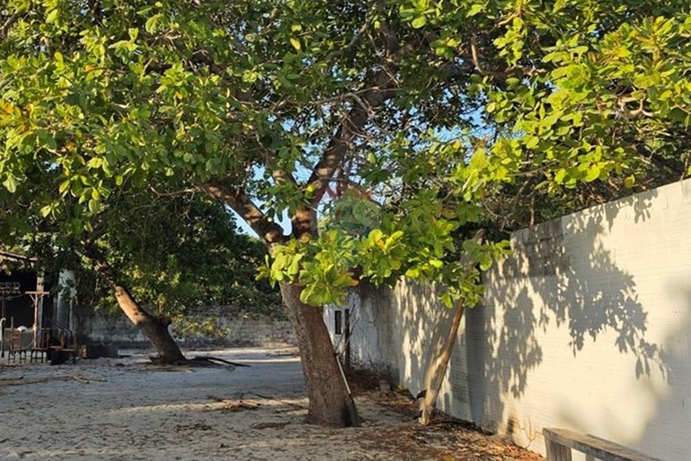 Terreno - Venda - Cruz , Ceará - 1000385877.jpg - 722341001-122