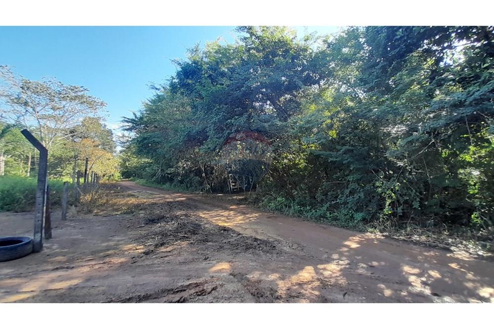 Chácara / Sítio / Fazenda - Venda - Porto Velho , Rondônia - Imagem do WhatsApp de 2025-05-21 à(s) 09.26.06_f5535292.jpg - 721551046-37