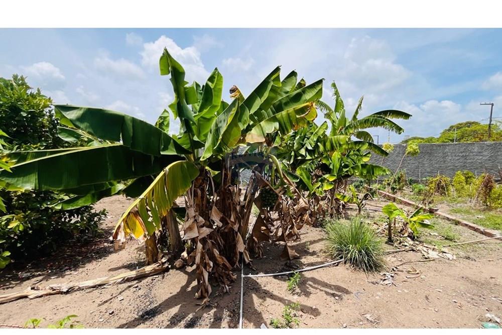 Casa - Venda - Conde , Paraíba - WhatsApp Image 2026-01-31 at 14.24.57 (2).jpeg - 720871004-227