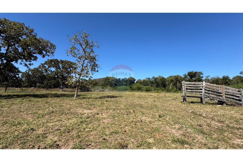 Fazenda - Venda - Santo Antônio do Leverger , Mato Grosso - d4d6b87f-79f5-4e63-8159-e11b6b8f2423.jpeg - 720611035-41