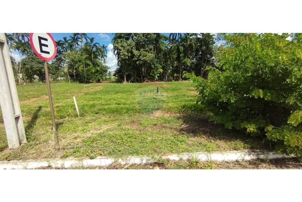 Terreno - Venda - Sinop , Mato Grosso - 42c60285-8009-4579-a216-a90f9afcdafe.jpg - 721561033-5