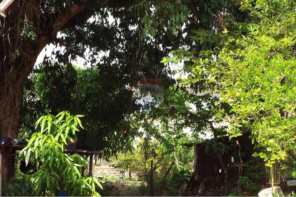 Terreno - Venda - Natal , Rio Grande do Norte - DSCF2361.JPG - 720891130-142