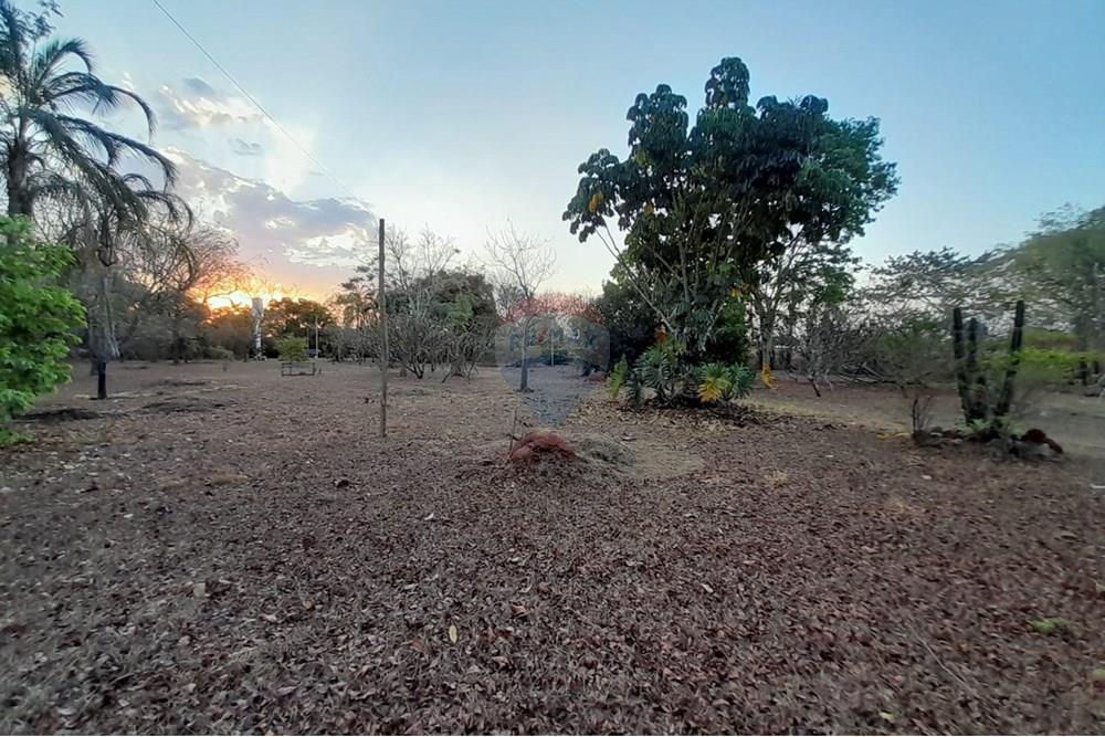 Chácara / Sítio / Fazenda - Venda - Goiânia , Goiás - WhatsApp Image 2025-10-31 at 16.51.36.jpeg - 722271015-38