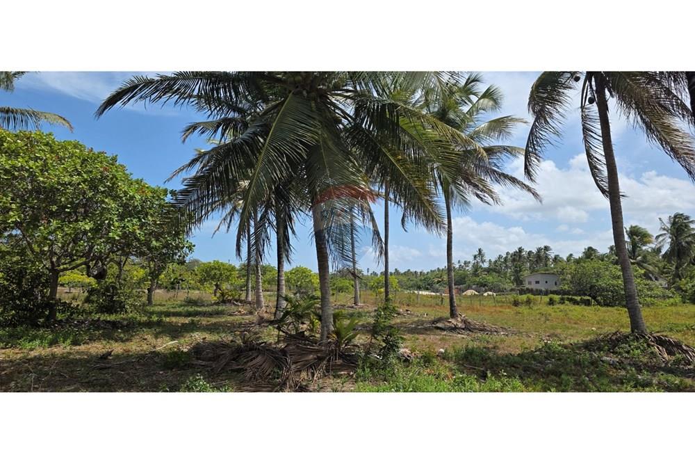 Terreno - Venda - Acaraú , Ceará - 1000304697.jpg - 722341001-114