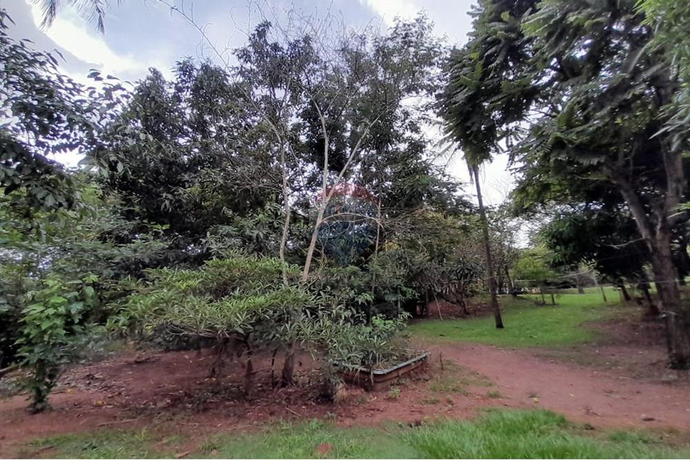 Chácara / Sítio / Fazenda - Venda - Goiânia , Goiás - WhatsApp Image 2025-12-15 at 14.55.06.jpeg - 722271015-41