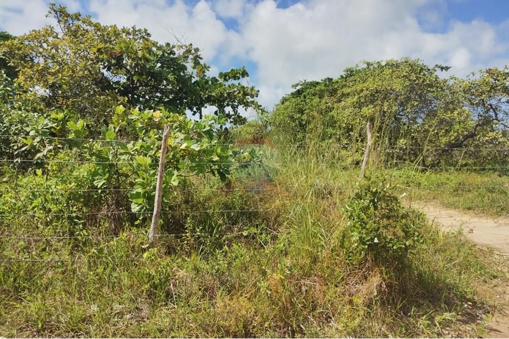 Terreno - Venda - Conde , Paraíba - f08d8549-b9d1-46b3-bffe-04d311ed35be.jpg - 720871056-7