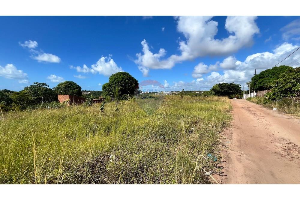 Terreno - Venda - Conde , Paraíba - WhatsApp Image 2025-05-12 at 10.40.39 (5).jpeg - 720871004-197