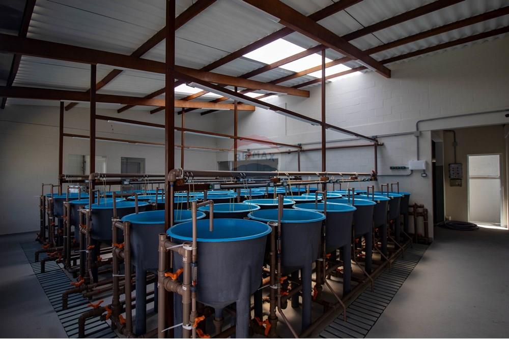 Casa Comercial - Venda - Nísia Floresta , Rio Grande do Norte - IMG_4377.jpg - 720891106-69