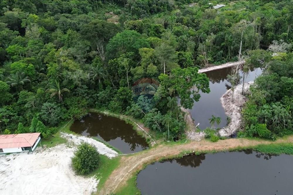 Woningbouw - Boerderij - Novo Airão , Amazonas - BR - Tanques de Peixes12.jpg - 720721055-29