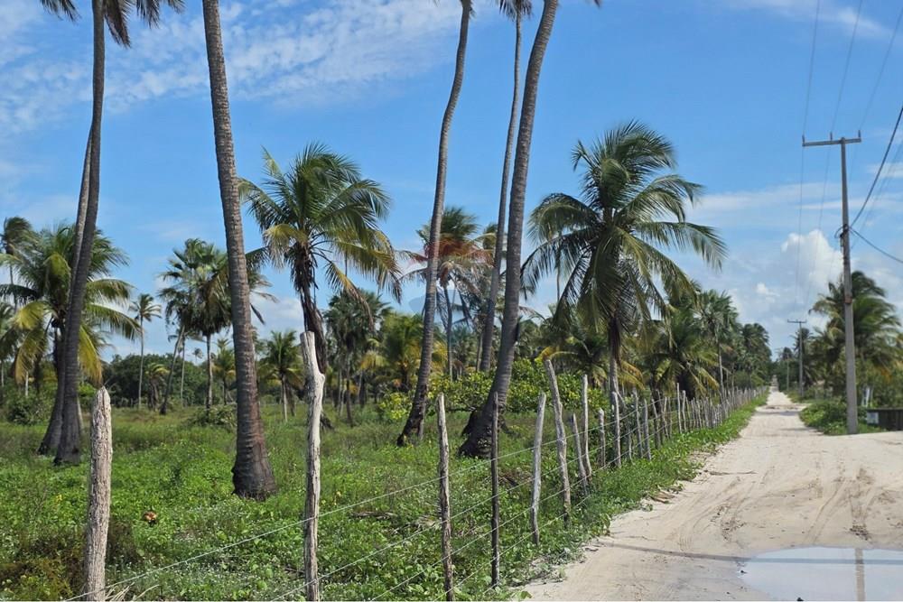 Terreno - Venda - Acaraú , Ceará - 1000542822.jpg - 722341001-188