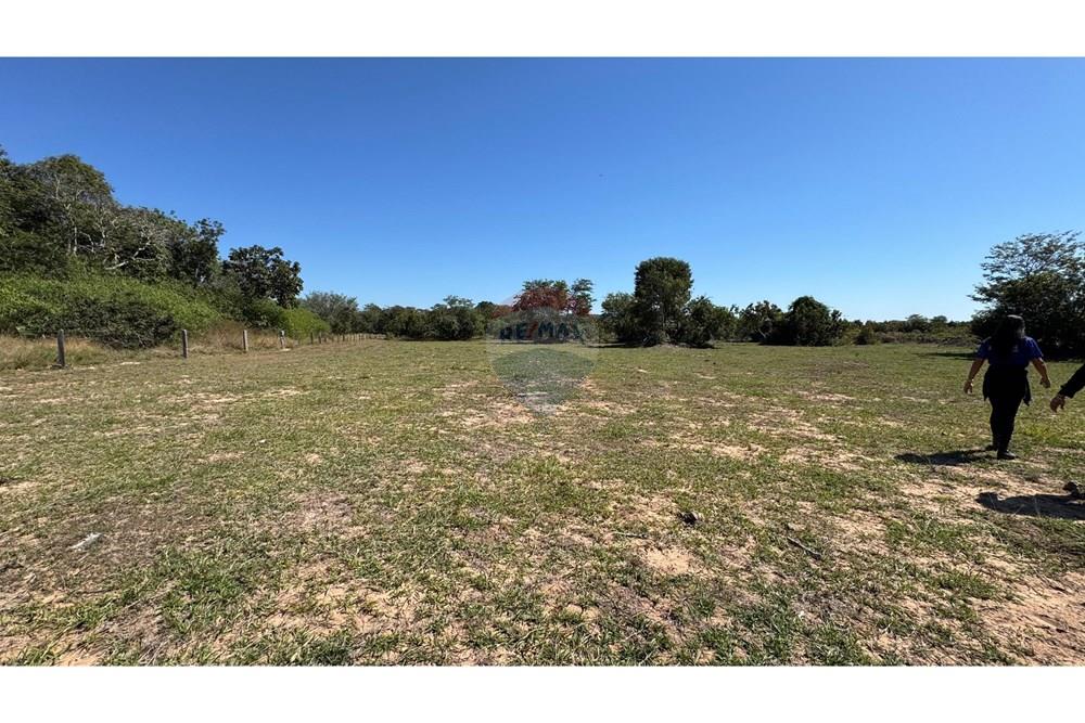 Fazenda - Venda - Santo Antônio do Leverger , Mato Grosso - 86edd297-7b49-4c85-be60-d83f7366f04f.jpeg - 720611035-41