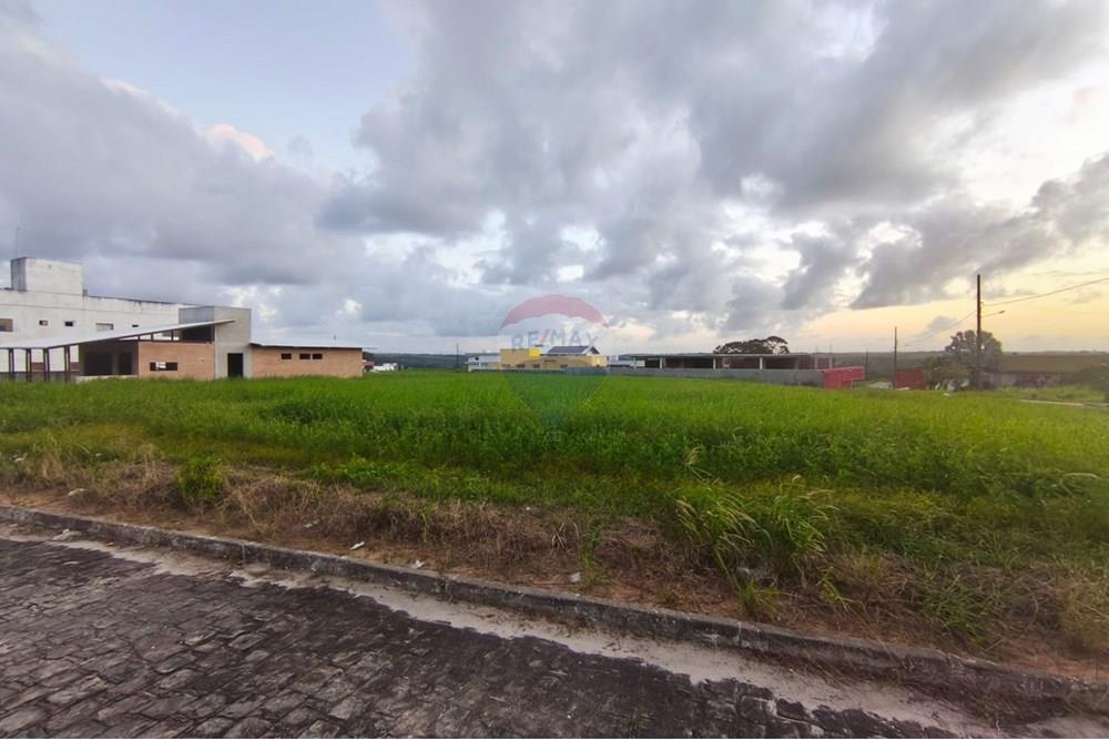 Terreno - Venda - Conde , Paraíba - a73b30ea-2cf7-4862-bbe9-3461c1c0a97c.jpg - 720871056-15