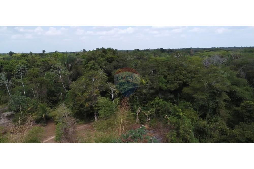 Fazenda - Venda - Rosário , Maranhão - IMG_0641.jpg - 722281002-38