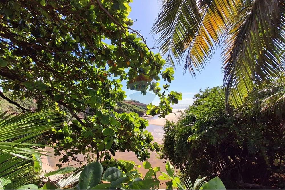 Terreno - Venda - Pitimbu , Paraíba - 60499f66-6b48-425e-a7c0-7beb5be4c3df.jpeg - 720871044-77