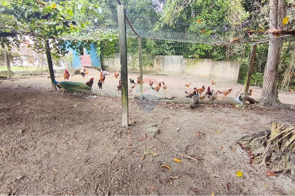 Residential - Land - Conde , Paraíba - BR - a022bb0d-7522-4ab1-aca4-a9e593c93631.jpg - 720871056-28