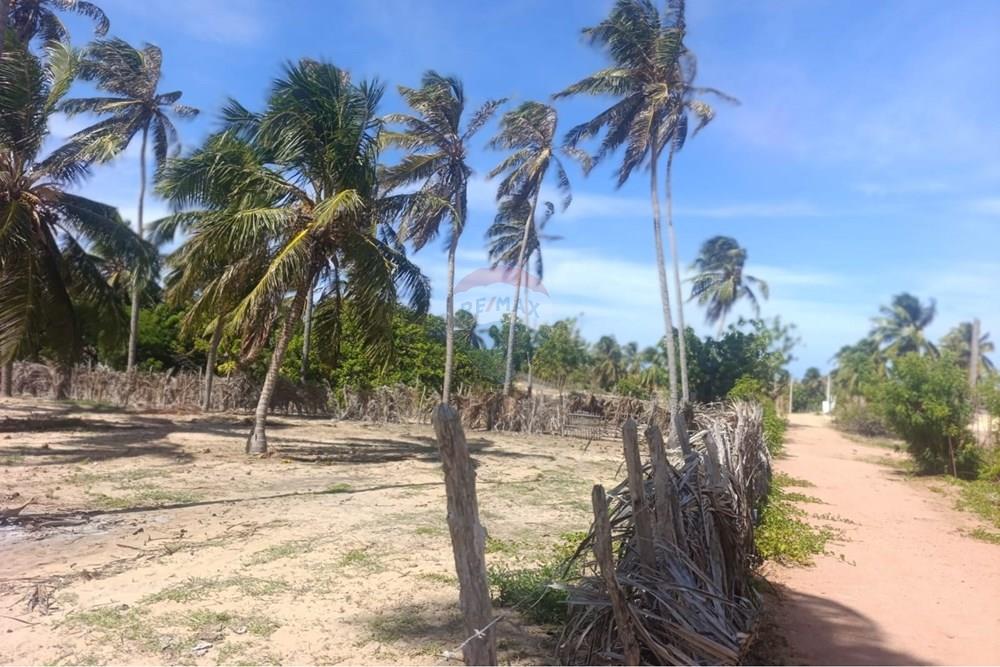 Terreno - Venda - Trairi , Ceará - WhatsApp Image 2026-01-28 at 14.05.46 (1).jpeg - 722341005-47