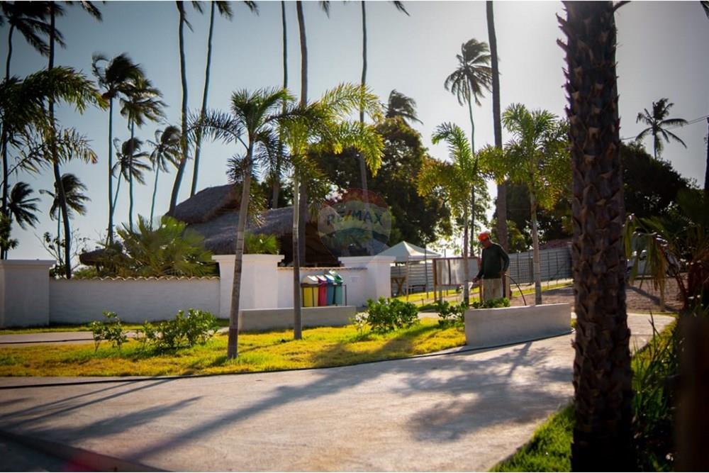 Terreno - Venda - Trairi , Ceará - 1000290771.jpg - 722341005-30