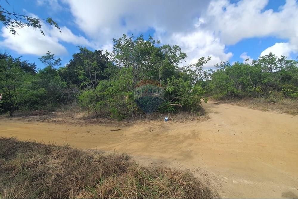 Terreno - Venda - Conde , Paraíba - 055d3269-7b5a-4d1d-9572-b342bf91d01f.jpeg - 720471019-138