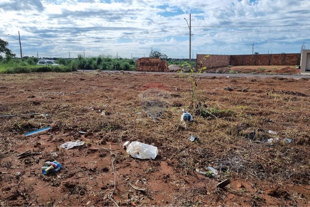 Terreno - Venda - Confresa , Mato Grosso - WhatsApp Image 2026-01-27 at 10.43.38.jpeg - 720641046-17