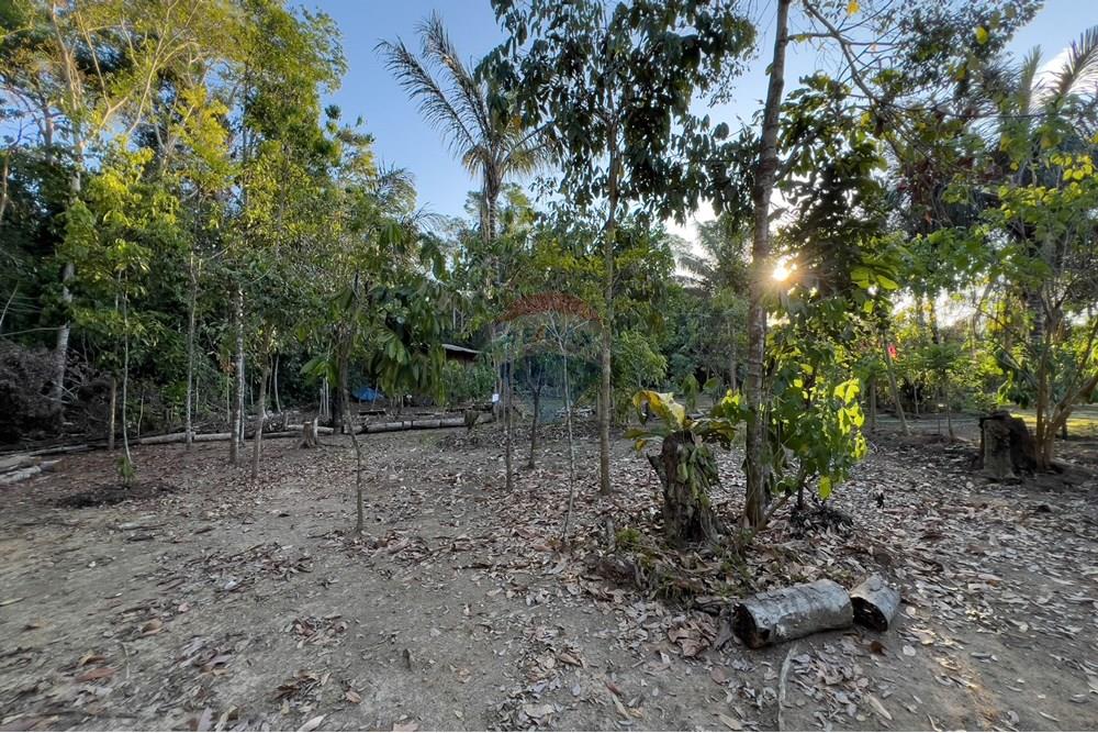 Chácara / Sítio / Fazenda - Venda - Porto Velho , Rondônia - IMG_9067.jpg - 721551016-73