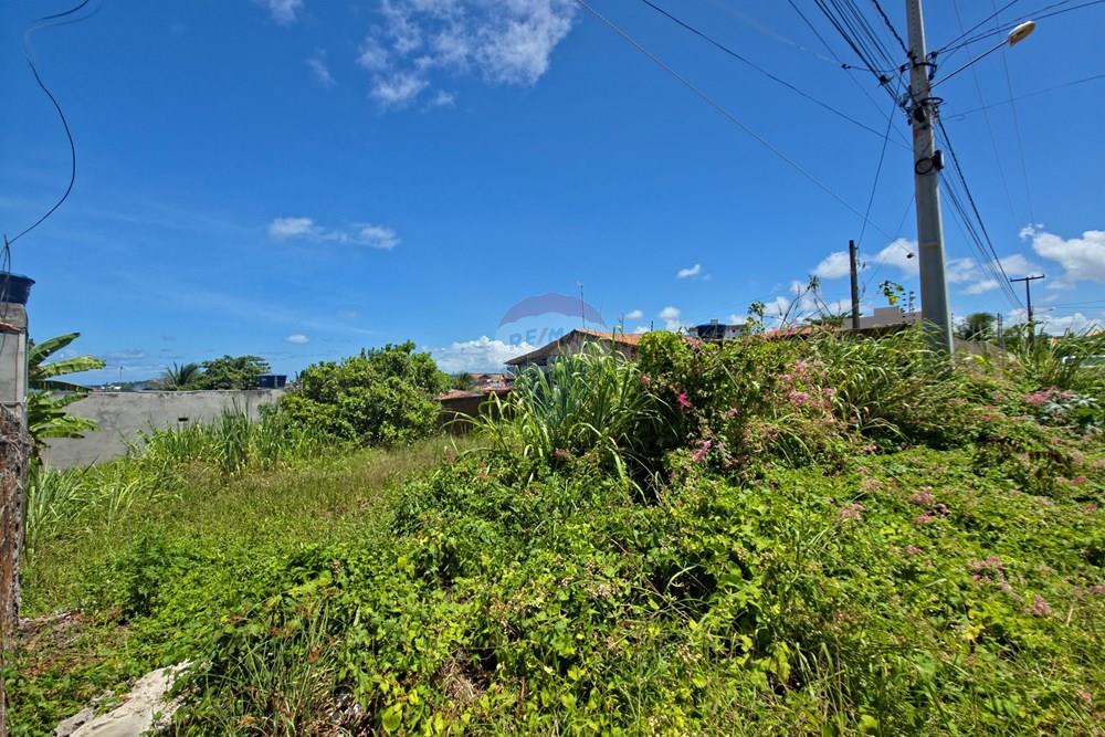 Terreno - Venda - Conde , Paraíba - 20260324_121634.jpg - 720871015-147