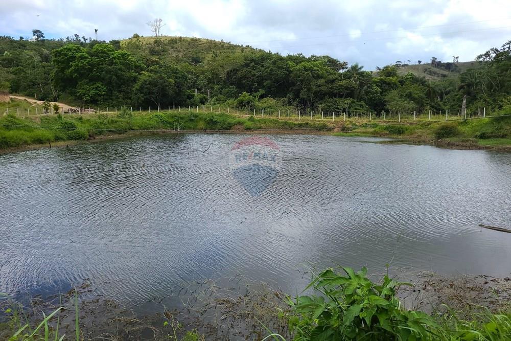 Chácara / Sítio / Fazenda - Venda - Areia , Paraíba - DJI_20230206_112456_612.jpg - 722011055-52