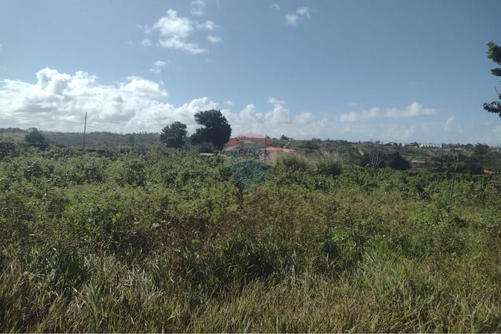 Terreno - Venda - Pitimbu , Paraíba - a425fd42-bcd2-45de-a99d-81eb2dedafec.jpg - 720871044-118