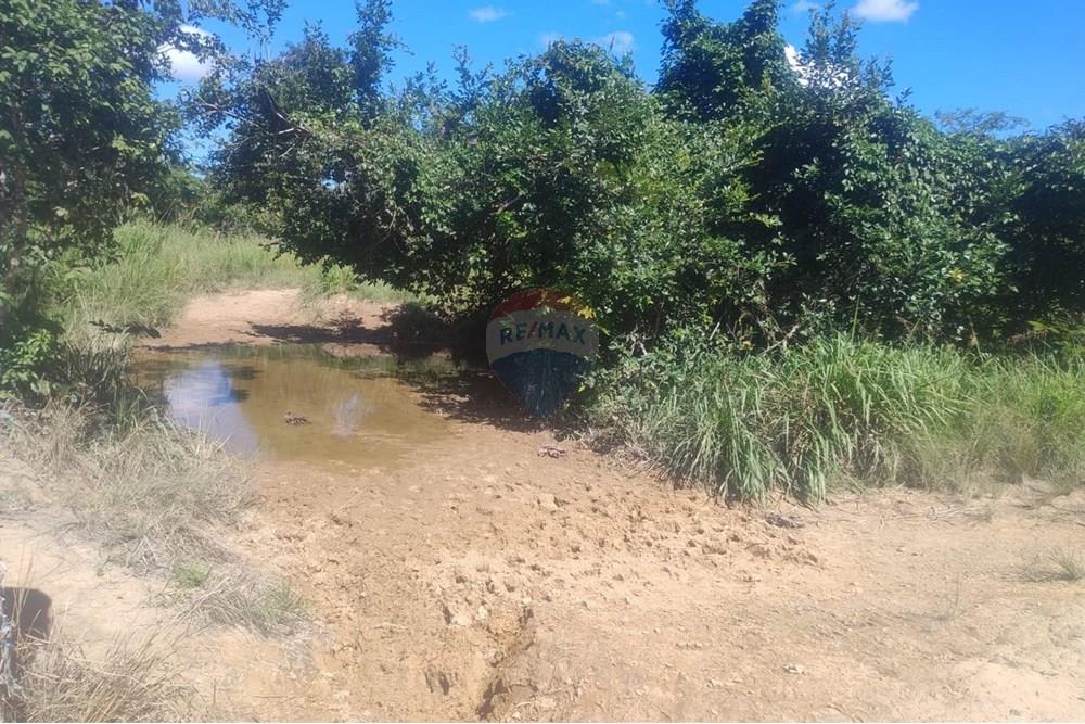 Chácara / Sítio / Fazenda - Venda - Confresa , Mato Grosso - IMG-20250926-WA0046.jpg - 720641046-10