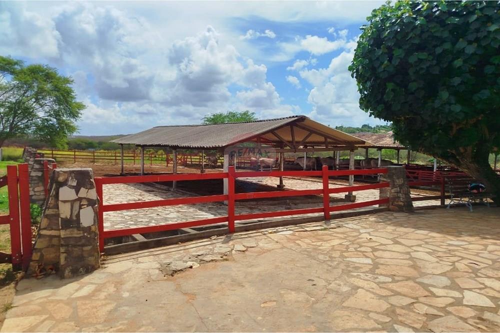 Casa de Condomínio - Venda - Macaíba , Rio Grande do Norte - WhatsApp Image 2026-01-17 at 20.33.13.jpeg - 720891013-267