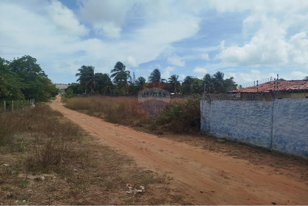 Terreno - Venda - Nísia Floresta , Rio Grande do Norte - WhatsApp Image 2024-11-22 at 21.32.47.jpeg - 720891013-275