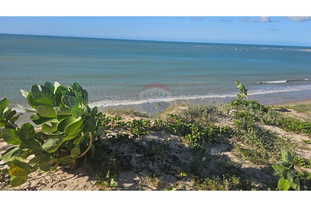 Terreno - Venda - São Miguel do Gostoso , Rio Grande do Norte - WhatsApp Image 2025-11-26 at 20.08.24 (7).jpeg - 720891215-27